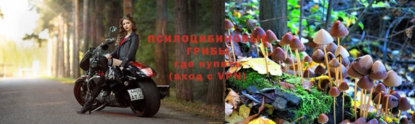 экстази Алзамай