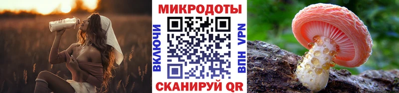 Псилоцибиновые грибы MAGIC MUSHROOMS цена Макушино